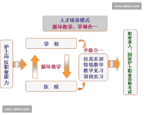 体育管理团队协同创新推动赛事运营与人才培养高质量发展路径研究